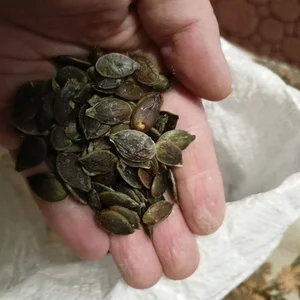 Тыквенные семечки