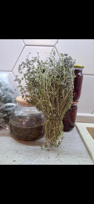 Чабрец