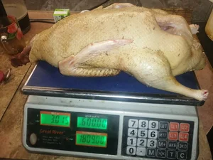 Мясо утки