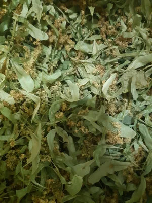 Чабрец
