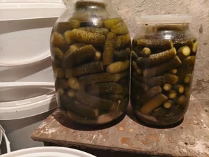 Картофель