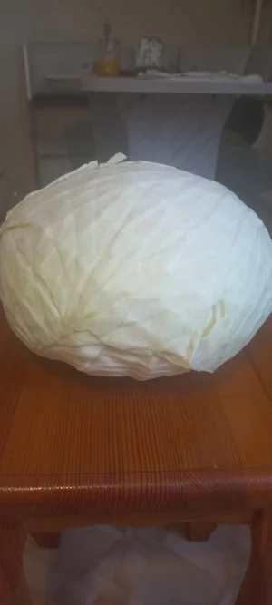 Капуста