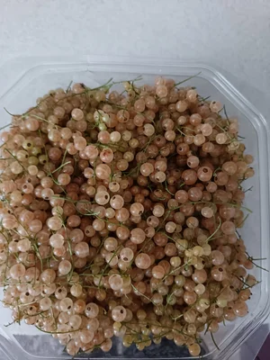 Черная смородина