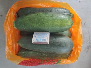 Кабачки-цукини