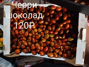 Помидоры