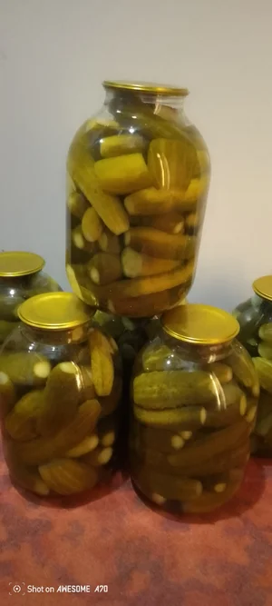 Огурцы