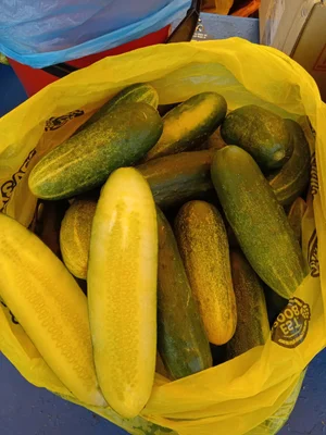 Огурцы
