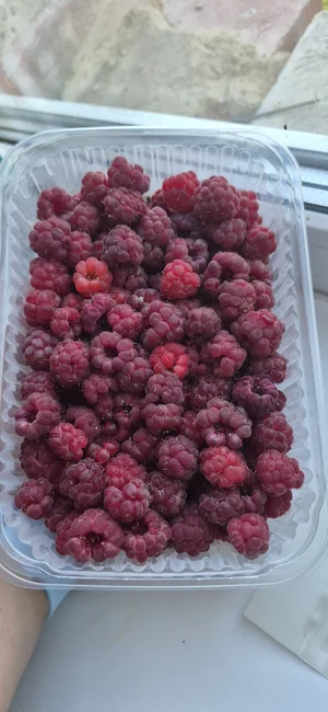 Малина на варенье