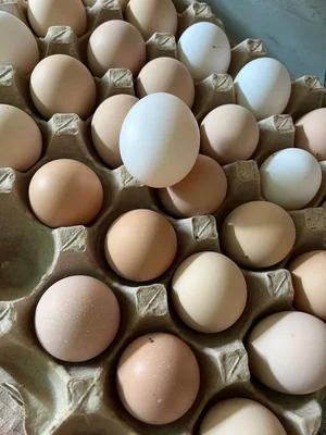 Куриные яйца