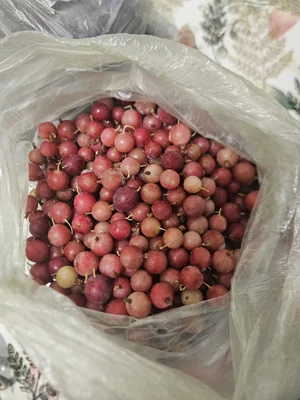 Ежевика свежезамороженная