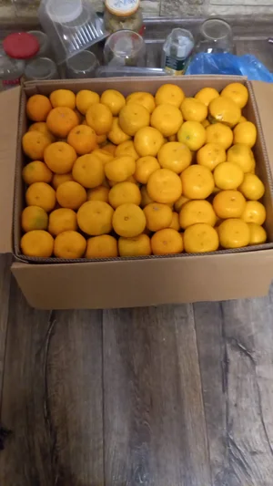 Мандарины