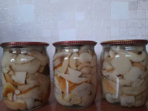 Грибы белые маринованные