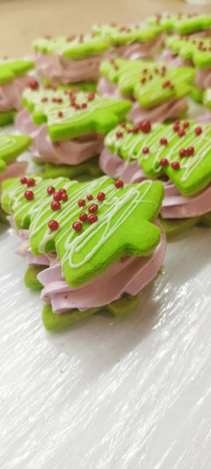ЗЕФИРОСЕНДВИЧИ