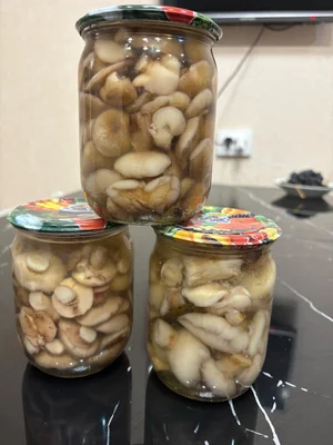 Маринованные маслята