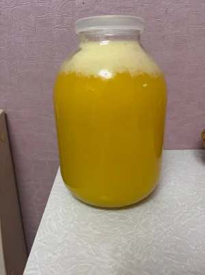 Мед подсолнечный