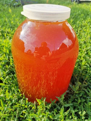 Картофель