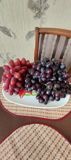 Черенки элитных сортов винограда