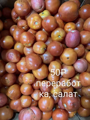Огурцы