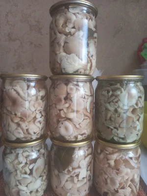 Вешенки