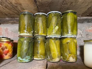 Соленые бочковые огурчики
