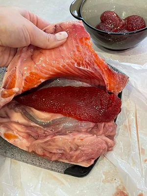 Форель