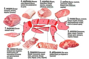 Домашняя свинина