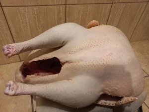 Тушки индейки