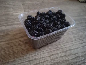 Саженцы клубники