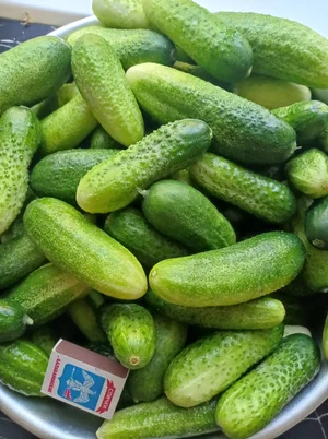 Малина