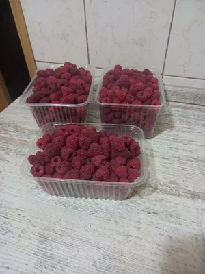 Малина
