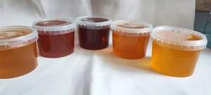 Подсолнечник