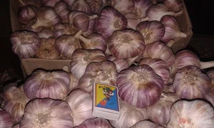 Картофель Коломбо