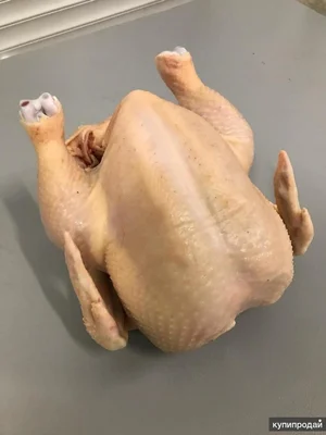 Мясо бройлеров