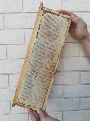 Картофель молодой