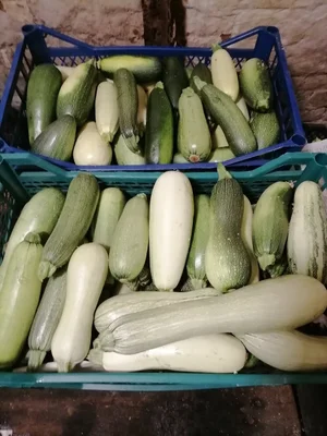 Кабачки