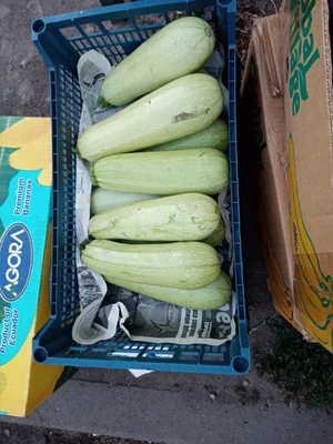 Огурчики