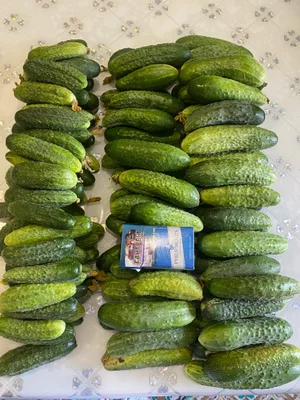 Малина