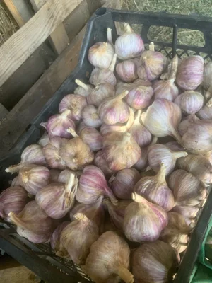 Картошка Кармен