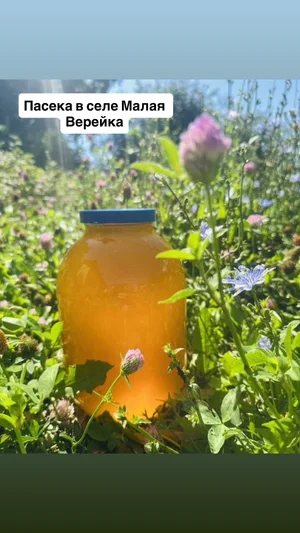 Мед цветочный