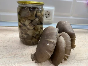 Маринованные грибы