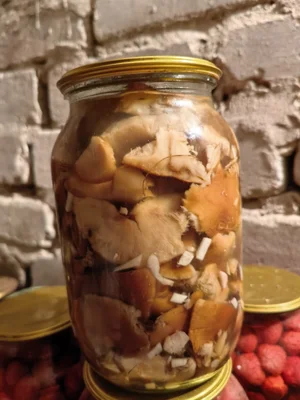 Соленая тополиная рядовка