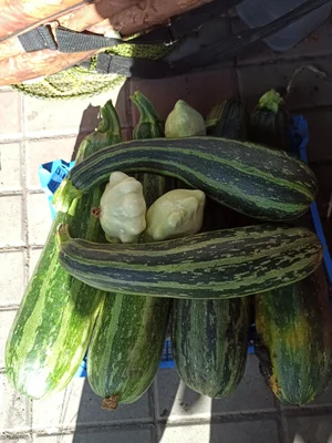 Цукини