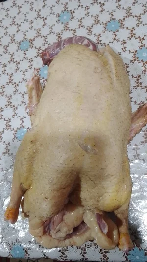 Утка