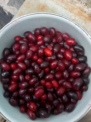 Липа цветки