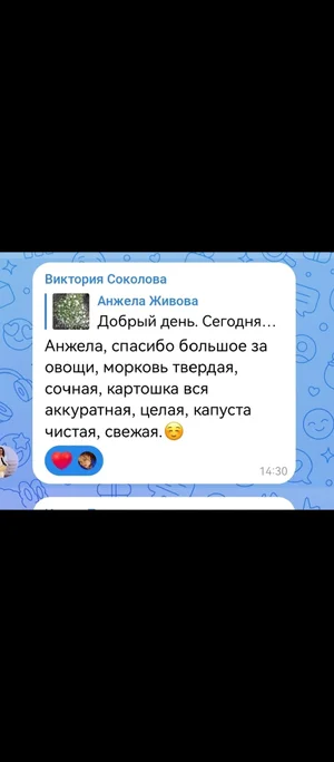 Картофель
