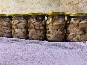 Маринованные грибы