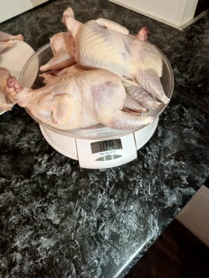 Мясо перепелов