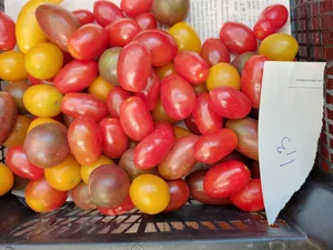 Огурцы