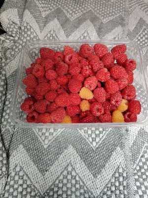Малина