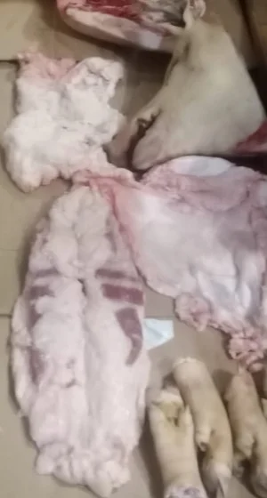 Свинина